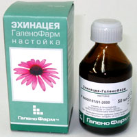 Настойка эхинацеи